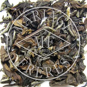 Fashion MARIAGE FRÈRES ALISHAN CHA