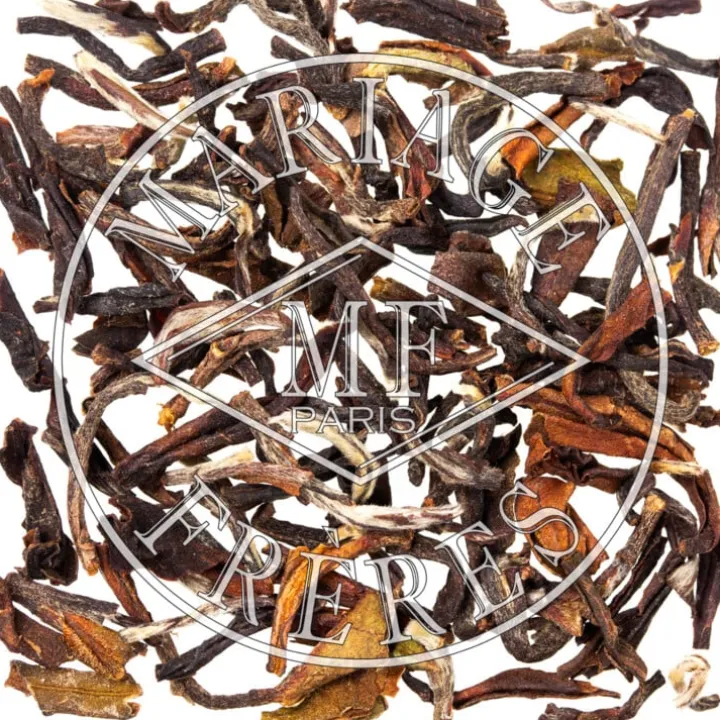 ambootia_1.webp Fashion MARIAGE FRÈRES AMBOOTIA