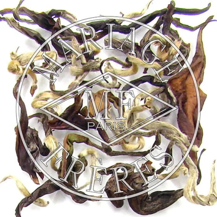 ambre_dhimalaya_1.webp Cheap MARIAGE FRÈRES AMBRE D'HIMALAYA