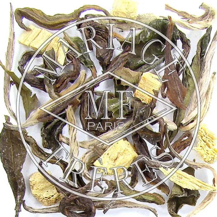 cha_matcha_1.webp Hot MARIAGE FRÈRES CHAÏ MATCHAÏ