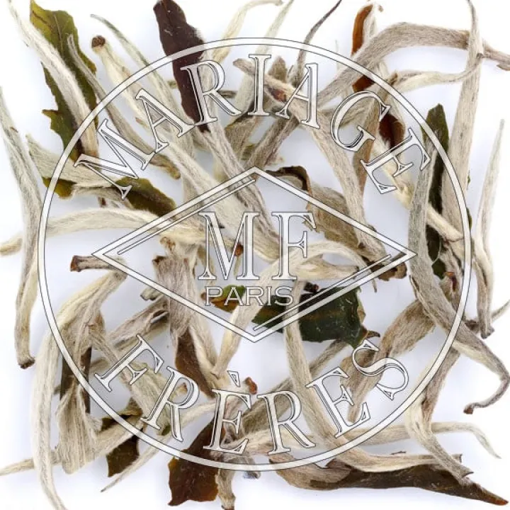 cherideo_gbop_1.webp Best Sale MARIAGE FRÈRES CHERIDEO GBOP