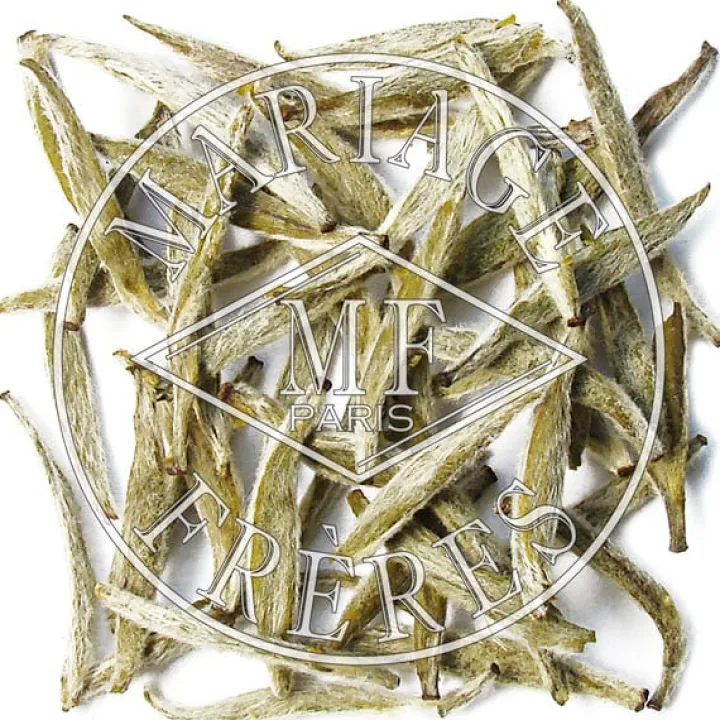 jasmin_magique_1.webp Fashion MARIAGE FRÈRES JASMIN MAGIQUE