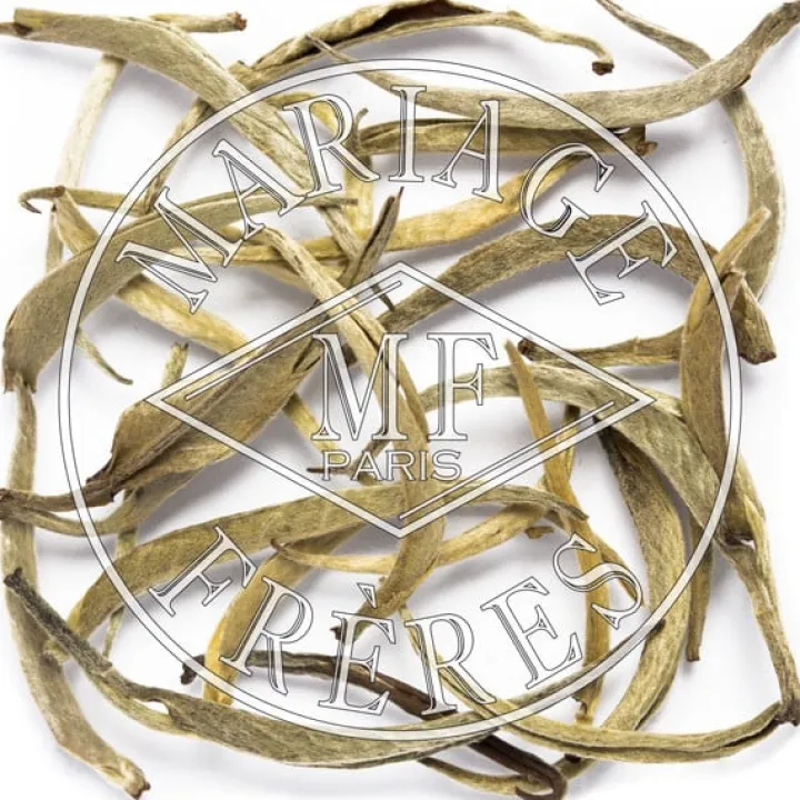 kitabibop_1.webp Outlet MARIAGE FRÈRES KITABI,BOP