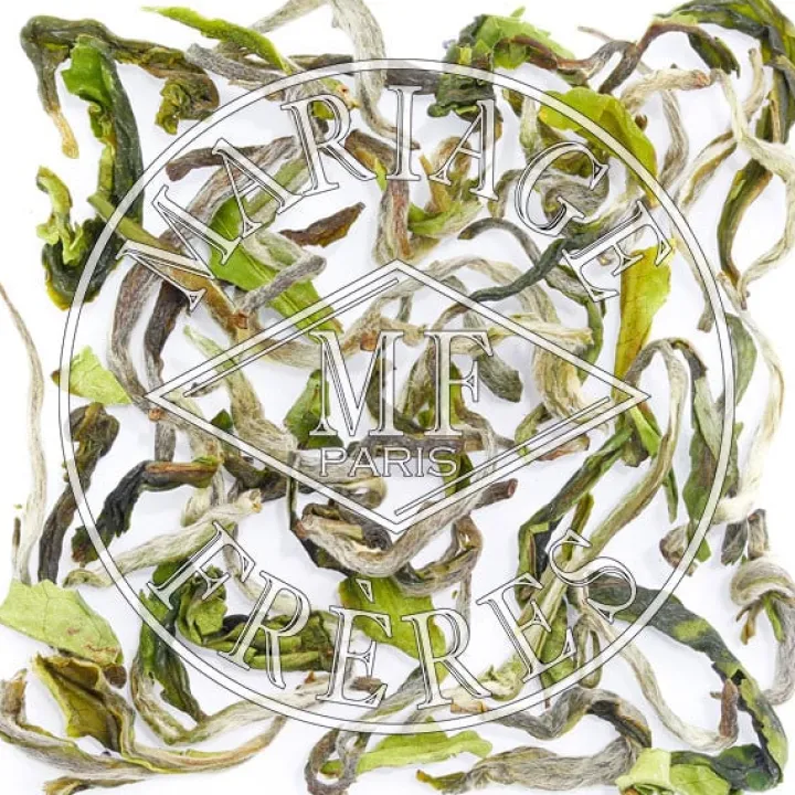 puttabong_queen__th_de_darjeelingrcolte_de_printemps_1.webp Store MARIAGE FRÈRES PUTTABONG QUEEN - Thé De Darjeeling,récolte De Printemps