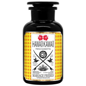 Discount MARIAGE FRÈRES RIO SUMMER - Rooibos Rouge Glacé à La Menthe,maté Et Açaí