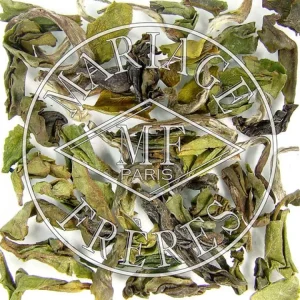 Online MARIAGE FRÈRES SFTGFOP1 - EX9