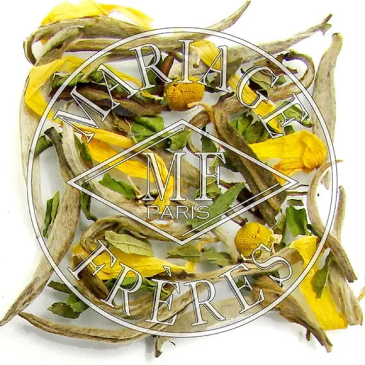 temple_des_nuages_1-1.webp Shop MARIAGE FRÈRES TEMPLE DES NUAGES