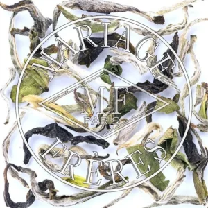 Online MARIAGE FRÈRES TURZUM - Thé Organique De Darjeeling